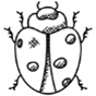 Ícono